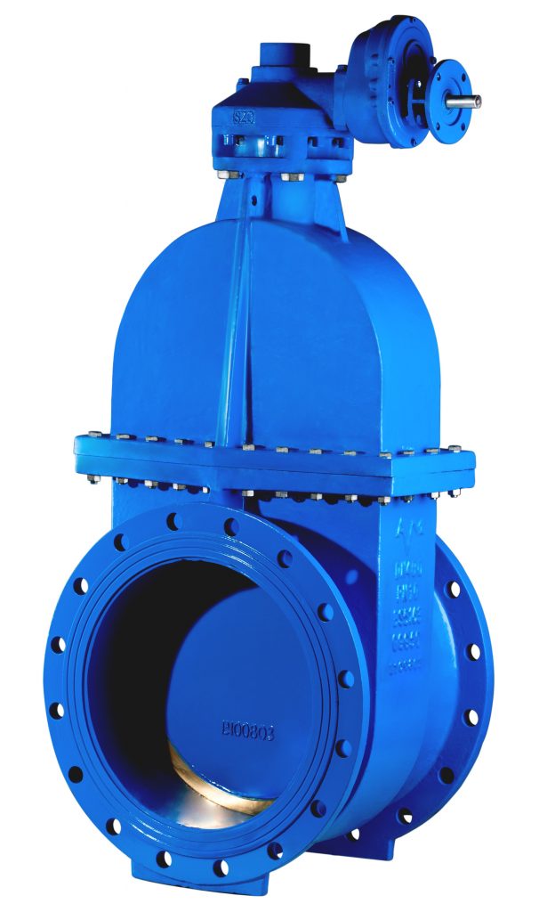 gate valve malaysia