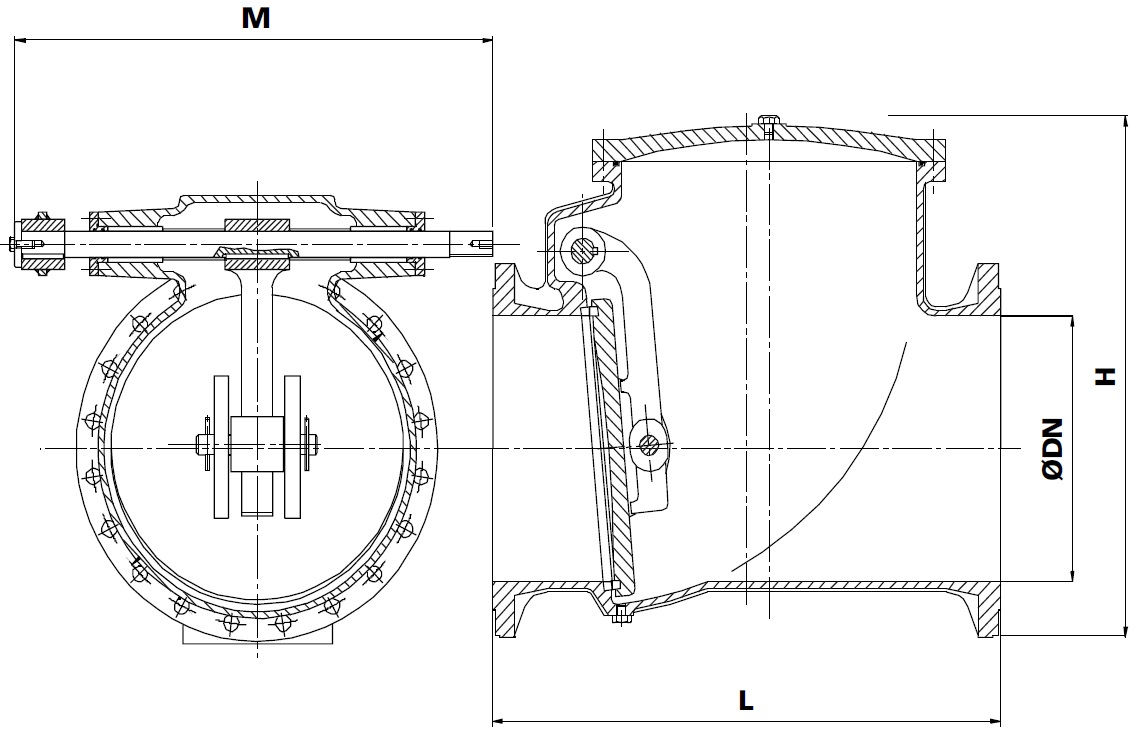 Swing-Check Valves