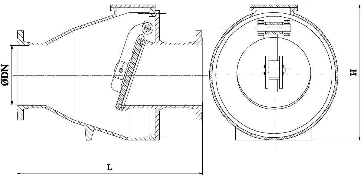 Recoil Check Valves