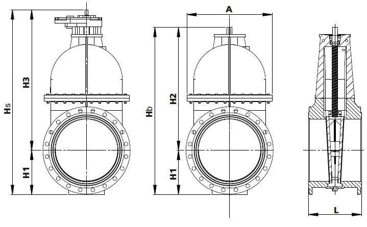 Wedge Gate Valves – AVM